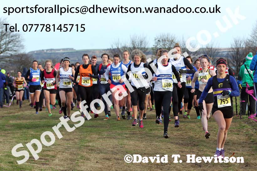 Senior womens Start Fitness NEHL, Aykley Heads, Durham. Photo: David T. Hewitson/Sports for All Pics